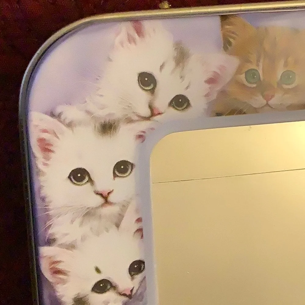 Cat lovers tin, and opal ceramic cat pin with gift bag.
